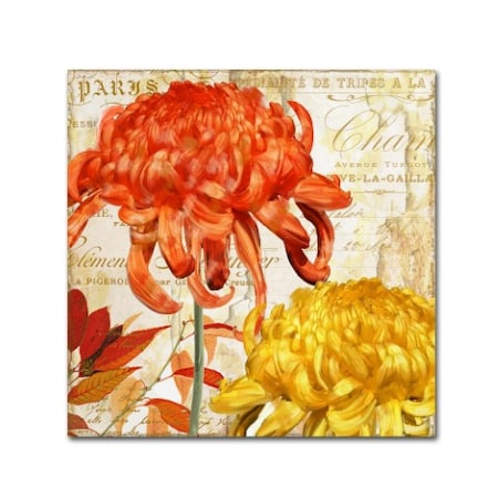 Color Bakery 'Chrysanthemums I' Canvas Art,24x24